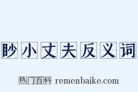 眇小丈夫反义词是什么意思的图片